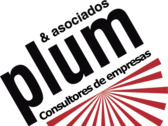 Plum y asociados Consultores de empresas