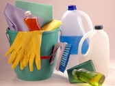 Logo Domestic Service Argentina Limpieza integral