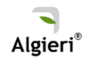 Algieri