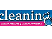 Cleaning