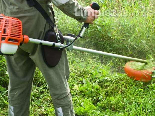 Mantenimiento de espacios verdes