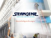 Steam Genie SRL